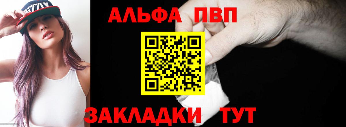Альфа ПВП СК Шахты